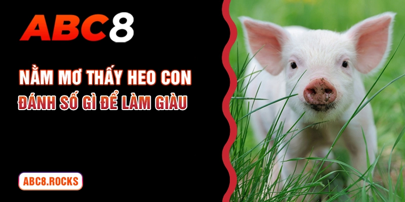 Nằm mơ thấy heo con đánh số gì để làm giàu