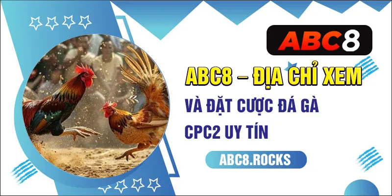 ABC8 - Địa chỉ xem và đặt cược đá gà CPC2 uy tín