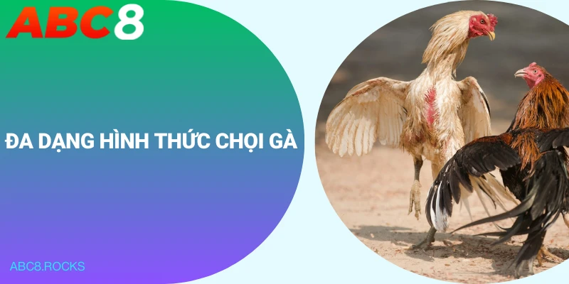 Đa dạng hình thức chọi gà