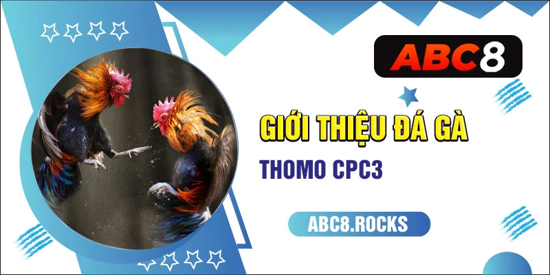 Giới thiệu đá gà Thomo CPC3