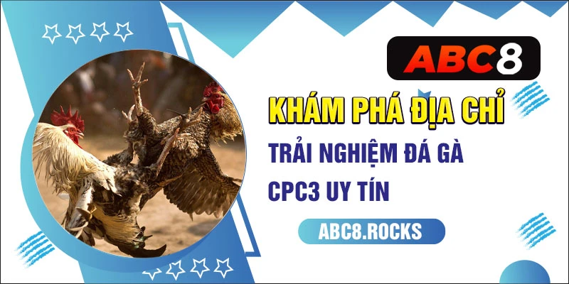 Khám phá địa chỉ trải nghiệm đá gà CPC3 uy tín