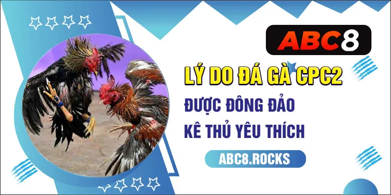 Lý do đá gà CPC2 được đông đảo kê thủ yêu thích