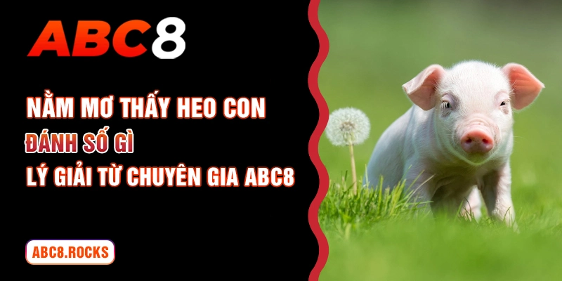 nằm mơ thấy heo con đánh số gì