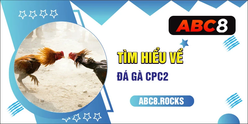 Tìm hiểu về đá gà CPC2